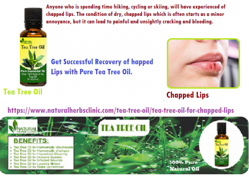 Tea Tree oil for Chapped Lips is another reason for treating because its anti-inflammatory properties. Attack the inflammation and also fungus infection together.... https://www.naturalherbsclinic.com/tea-tree-oil/tea-tree-oil-for-chapped-lips