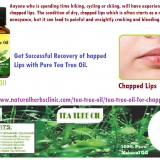 Tea-Tree-Oil-for-Chapped-Lips---Natural-Essential-Oils---Natural-Herbs-Clinic