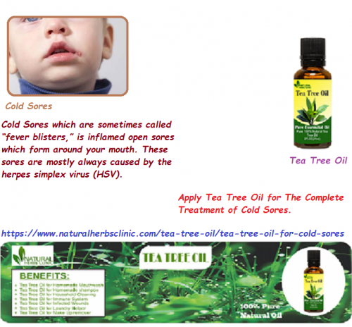 Tea Tree oil for Cold sores which are sometimes called “Fever Blisters,” is inflamed open sores which form around your mouth.... https://www.naturalherbsclinic.com/tea-tree-oil/tea-tree-oil-for-cold-sores