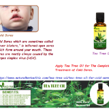 Tea-Tree-Oil-for-Cold-Sores---Natural-Essential-Oils---Natural-Herbs-Clinic