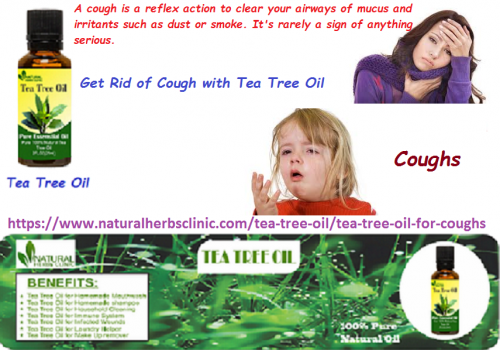 Tea Tree oil for Coughs is antibacterial, antimicrobial and antiviral, which makes it a great cold and flu fighter. Additionally, it is a great expectorant so can drastically improve congestion when you are feeling under the weather.... https://www.naturalherbsclinic.com/tea-tree-oil/tea-tree-oil-for-coughs