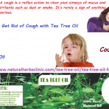 Tea-Tree-Oil-for-Coughs---Natural-Essential-Oils---Natural-Herbs-Clinic