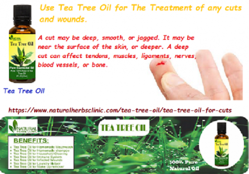 Tea Tree oil for Cuts works as a natural alternative to topical antibiotics. It has a anti-inflammatory and antimicrobial components expedite tissue regeneration.... https://www.naturalherbsclinic.com/tea-tree-oil/tea-tree-oil-for-cuts