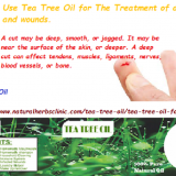 Tea-Tree-Oil-for-Cuts---Natural-Essential-Oils---Natural-Herbs-Clinic