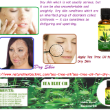 Tea-Tree-Oil-for-Dry-Skin---Natural-Essential-Oils---Natural-Herbs-Clinic