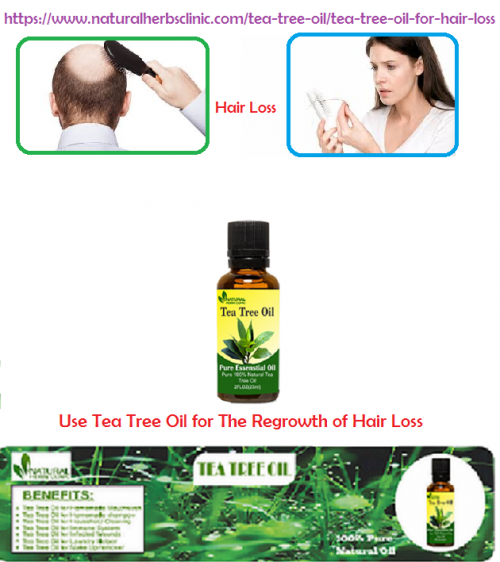 Tea Tree oil for Hair Loss is the important thing to remember is that it does not matter what you decide to do, you need to make sure that you are using tea tree oil in a safe, low concentration... https://www.naturalherbsclinic.com/tea-tree-oil/tea-tree-oil-for-hair-loss