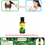 Tea-Tree-Oil-for-Hair-Loss---Natural-Essential-Oils---Natural-Herbs-Clinic