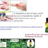 Tea-Tree-Oil-for-Infected-Wounds---Natural-Essential-Oils---Natural-Herbs-Clinic