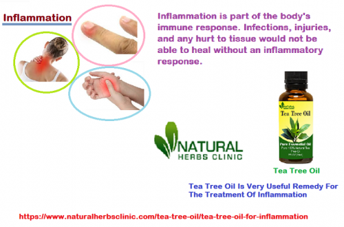 Tea Tree oil for Inflammations is that which is a famous choice for most of the people and who choose to make their own care and also cleaning products at home for without hash chemicals.... https://www.naturalherbsclinic.com/tea-tree-oil/tea-tree-oil-for-inflammation