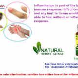Tea-Tree-Oil-for-Inflammation---Natural-Essential-Oils---Natural-Herbs-Clinic
