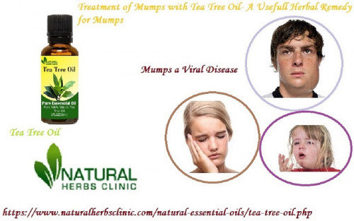 Tea Tree Oil for mumps treatment it has a diversity of effective that are together convenient and practical and when you find out great benefits of tea tree oil for mumps, you may never want to stop using it once more... https://naturalessentialsoil.wordpress.com/2018/01/12/tea-tree-oil-for-mumps-a-viral-disease/
