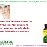 Tea-Tree-Oil-for-Skin-Pigmentation---Natural-Essential-Oils---Natural-Herbs-Clinic