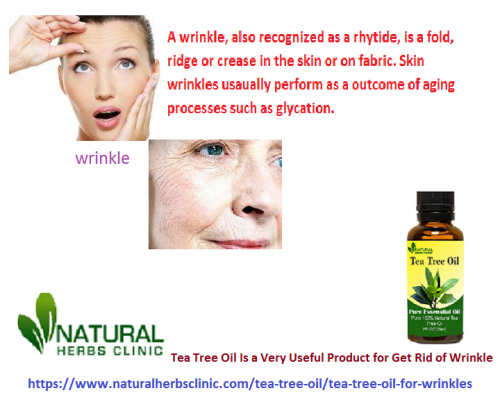 Tea Tree oil for Wrinkles supplies the skin with antioxidants. Using tea tree oil for wrinkles treatment is not only just effective but it also keep long lasting... https://www.naturalherbsclinic.com/tea-tree-oil/tea-tree-oil-for-wrinkles