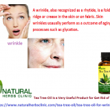 Tea-Tree-Oil-for-Wrinkles---Natural-Essential-Oils---Natural-Herbs-Clinic