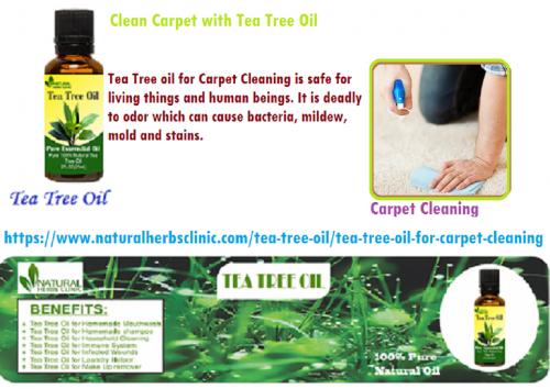 Tea Tree oil for Carpet Cleaning is safe for living things and human beings. It is deadly to odor which can cause bacteria, mildew, mold and stains.... https://www.naturalherbsclinic.com/tea-tree-oil/tea-tree-oil-for-carpet-cleaning