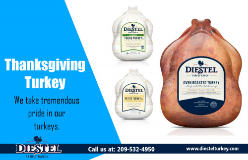 Thanksgiving-Turkey.jpg