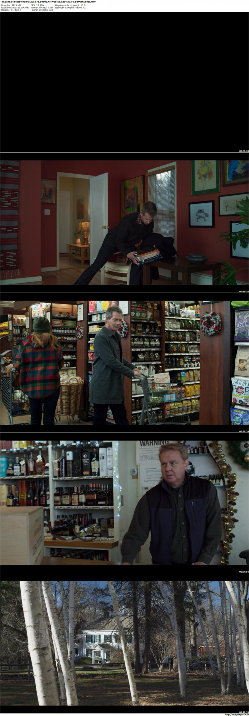 The.Land.of.Steady.Habits.2018.PL.1080p.NF.WEB-DL.x264.AC3-5.1-DARKDEVIL.jpg