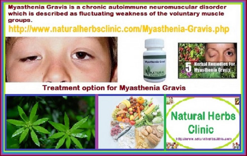 In 1980s Qiancengta find out by the Chinese scientists and they found it extremely helpful in Treatment of Myasthenia Gravis. Now it is very popular all over the world. It is a natural remedy with zero side effects and hence this natural remedy is easily acceptable by everyone.... https://naturalcureproducts.wordpress.com/2017/11/17/6-natural-treatment-for-myasthenia-gravis/