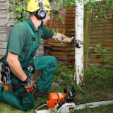 Tree-Surgeons