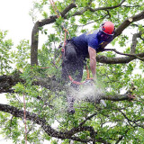 Tree-Surgery