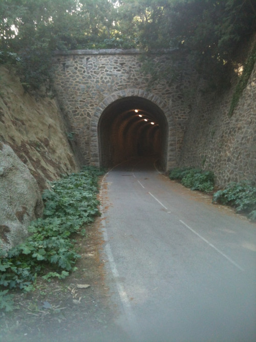 Tunnel.jpg