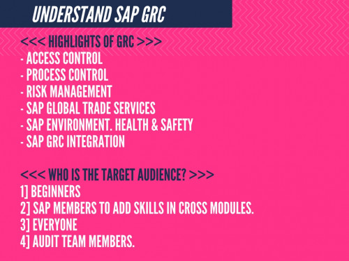 Understand SAP GRC