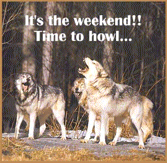 WEEKEND-HOWL.gif