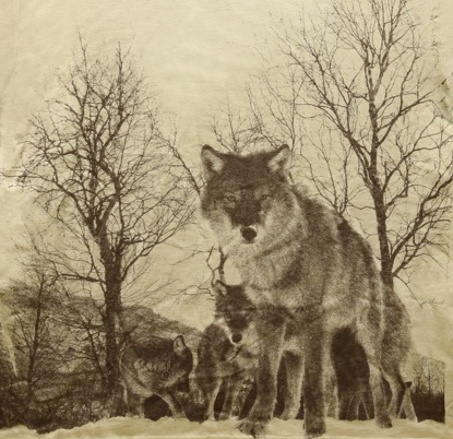 WOLF-PACK-SEPIA.jpg