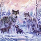 WOLVES-IN-SNOW