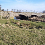 Wansbeck-River-Bridge