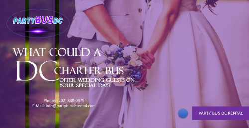 What-Could-a-DC-Charter-Bus-Offer-Wedding-Guests-on-Your-Special-Day.jpg
