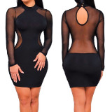 Women-Mesh-Splice-Long-Sleeve-Bodycon-Mini-Dress-dressfair.com-2