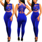 Women-Sleeveless-Mesh-Transparent-Blue-Lace-Jumpsuit-Dress-WC-145BL