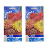 Zinnia-Fireworks-Mix-Set-of-2-1