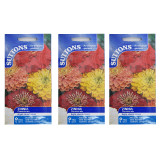 Zinnia-Fireworks-Mix-Set-of-3-1