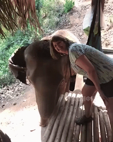  slonyonkom