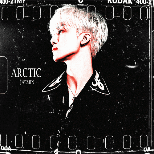 arctic.gif