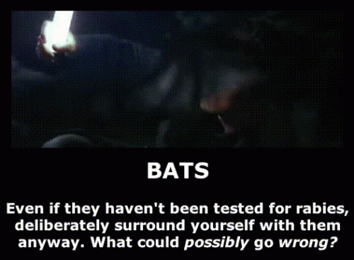 batsdemotivator