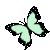 butterfly 50X50 02