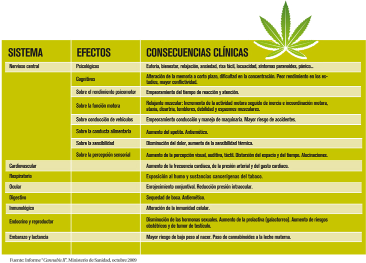 cannabis2.jpg