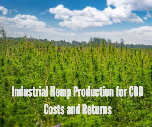 Hemp is now legal to grow in 46 states. The following example will demonstrate how much does it cost to grow hemp and how much can be made from ...

Visit us: https://hempcbdbusinessplans.com/how-much-does-it-cost-to-grow-hemp/