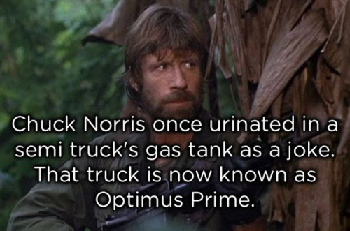 chuck_norris_06.jpg