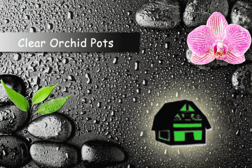 Buy beautiful clear orchid pot at reasonable price from Green Barn Orchid Supplies online store. Here you can find all varieties of clear orchid pots for your orchids. You can find the best price details call at 561-499-2810 or visit our website: http://shop.greenbarnorchid.com/category.sc?categoryId=3