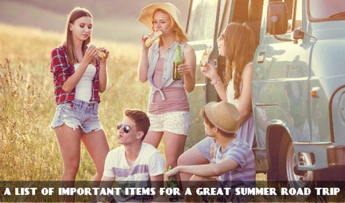 To plan the perfect summer road trip you need some necessory stuffs. Here is a list of important items for a great summer road trip. Know more https://www.linkedin.com/pulse/list-important-items-great-summer-road-trip-alanic-global/