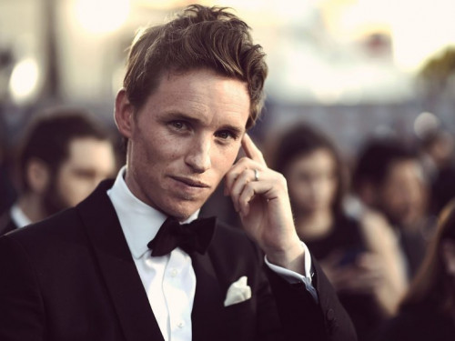 eddie redmayne hair 770x578