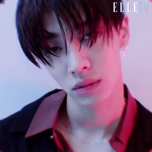 elle_5.gif