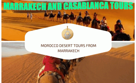 Morocco is a beautiful and sultry blend of cultural art and history, which is imbibed in it. To Make your day special and memorable just call Marrakech and Casablanca Tours to book your Morocco Desert Tours from Marrakech.