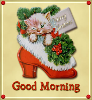 good-morning-cat-in-red-shoe.jpg