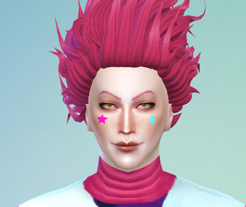 hisoka_01.jpg