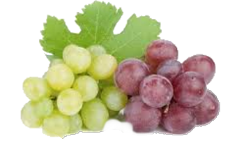 hroznove-vino.png